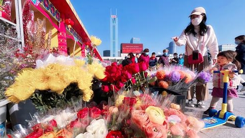 迎春花开！天河花市有靓花还有非遗展示