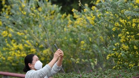 广州天气 | 雨雾天气暂缓