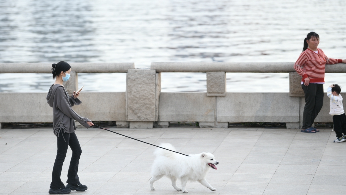 【天气】广州未来几天偶有阳光，也会有雨
