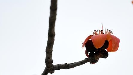 后天南风转北风，广东局部有霜冻