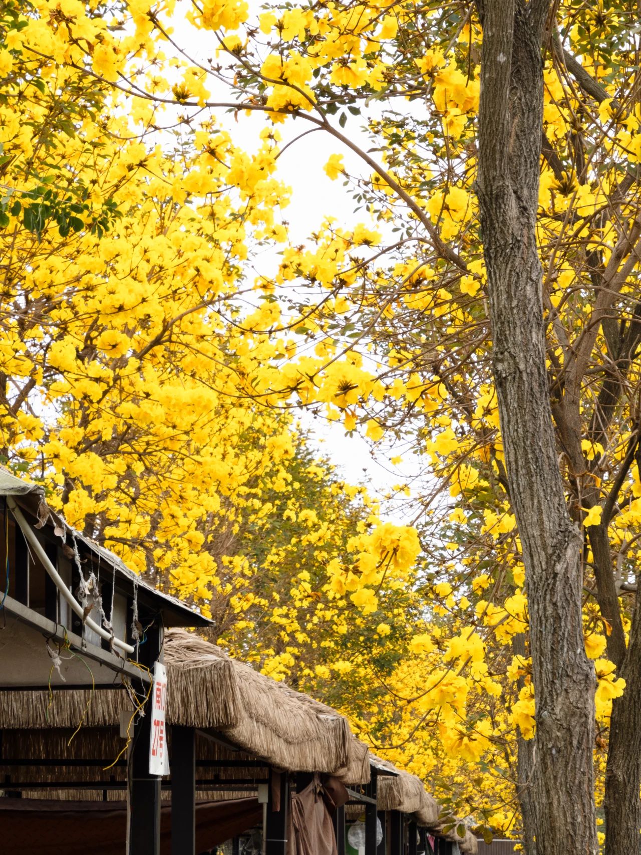 微信图片_20240229172817