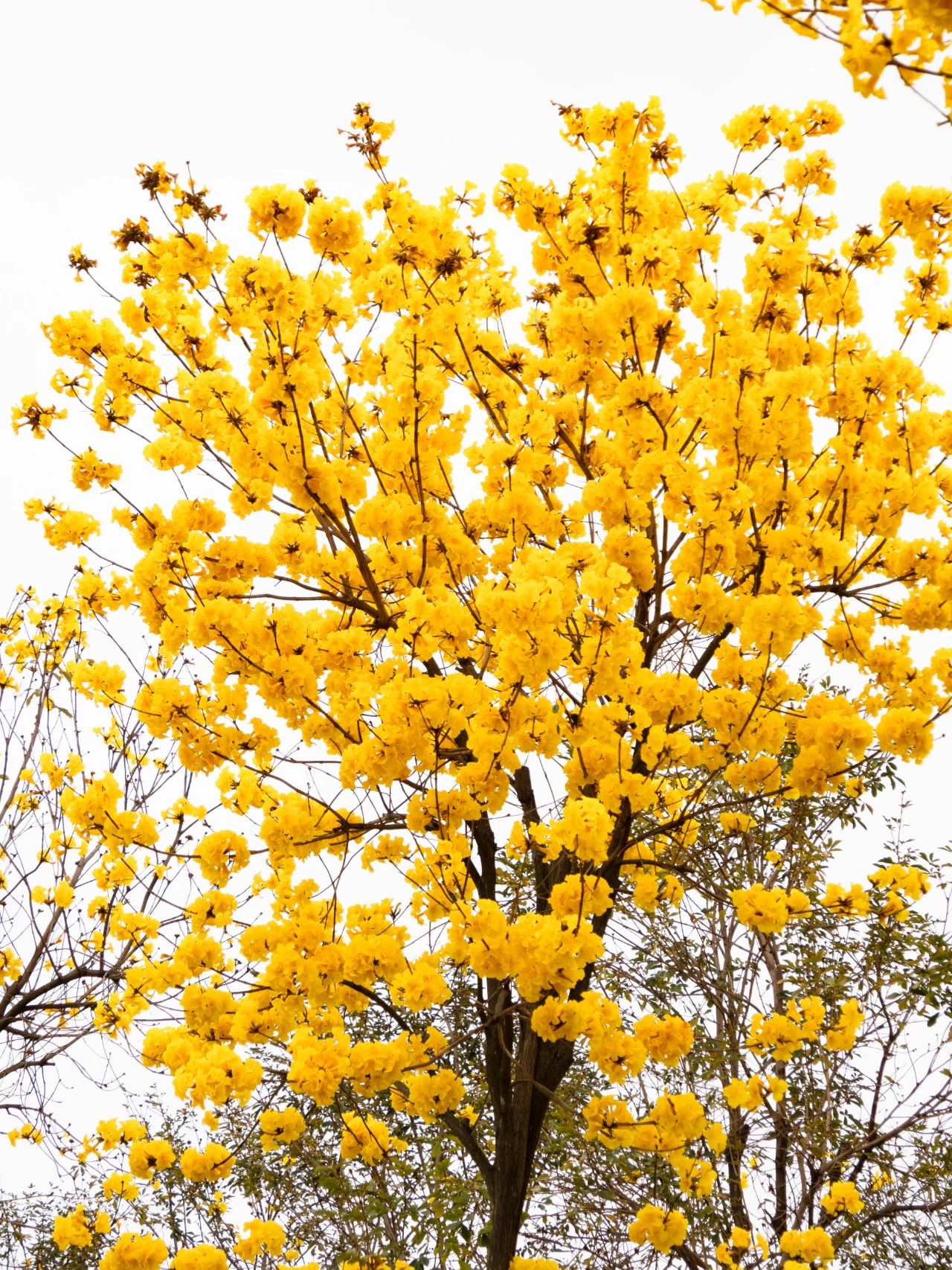 微信图片_20240229172823