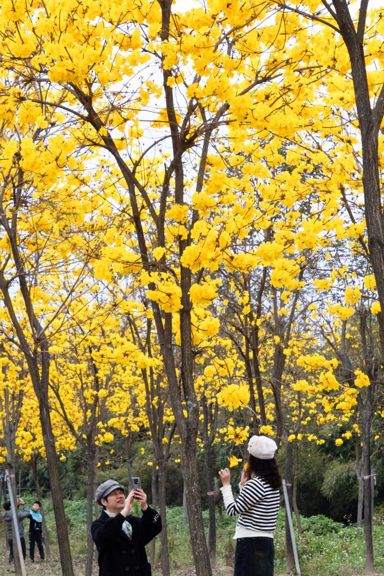 微信图片_20240229172838