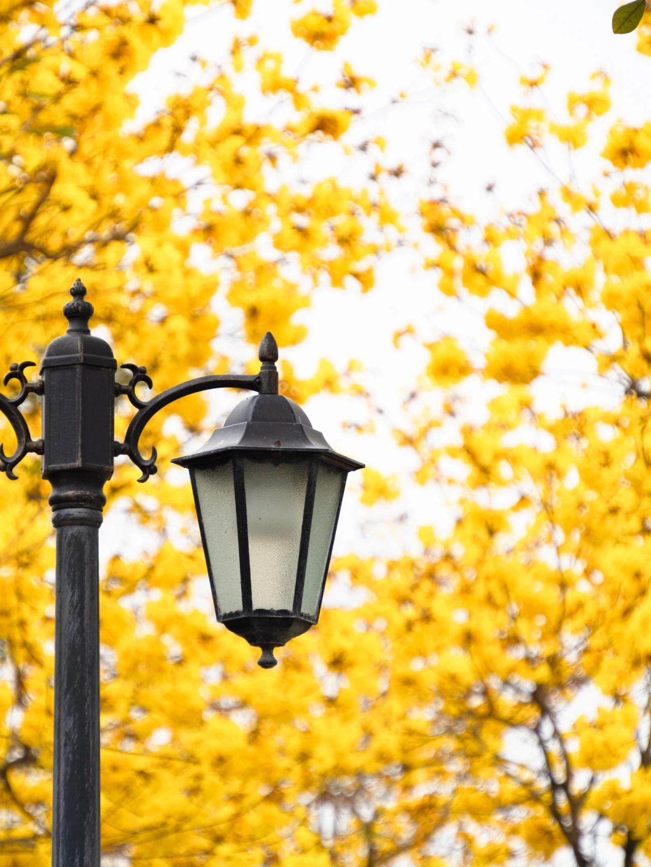 微信图片_20240229172803