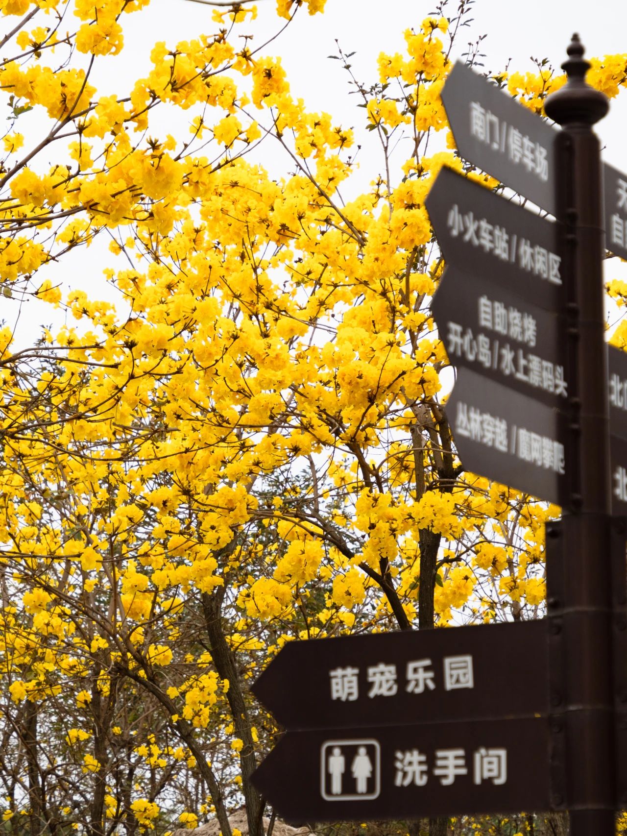 微信图片_20240229172829