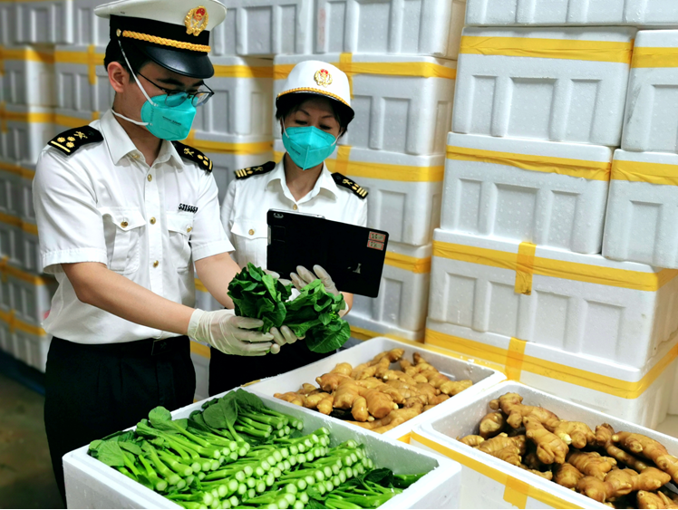 二十五载如一日，深圳海关年均监管供港蔬菜63万吨