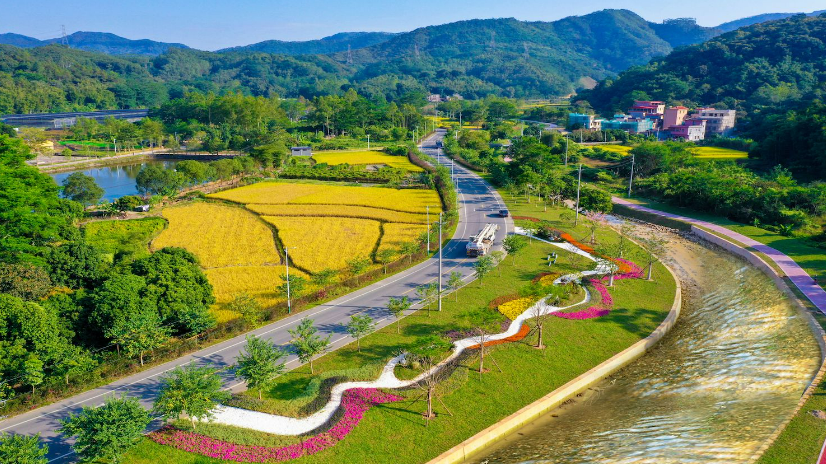 走进广州增城小楼镇：仙姑故里，小楼人家！