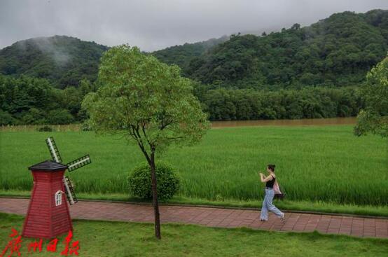 今日观察 | 把县域商业“施工图”变“实景画”