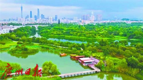 珠江观潮 | 画好“施工图”，释放湿地“大能量”
