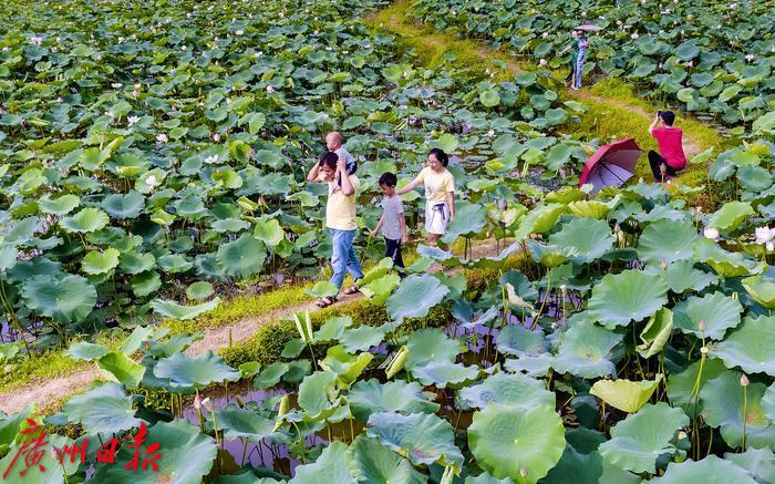 文化茶座 | 公共文化，乡村振兴的根与魂