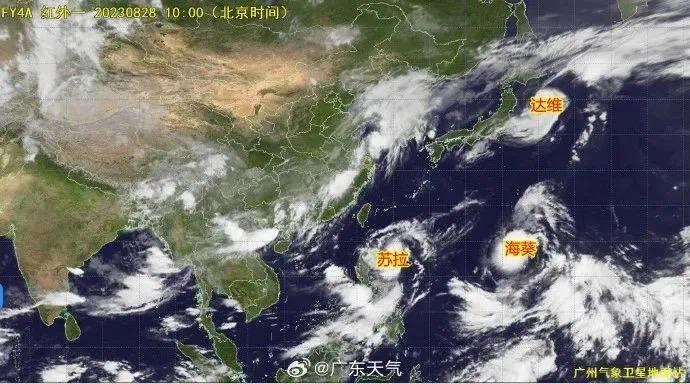 防御台风“苏拉” | 保持“临战”状态，杜绝侥幸心理