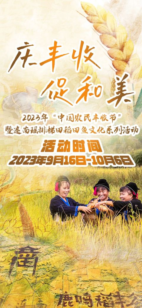 连南瑶排梯田稻田鱼文化系列活动即将启动 抓稻田鱼、收割稻谷、钓鱼大赛“开战”在即