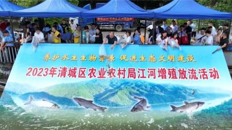 增殖放流 126万尾鱼苗“安家”北江