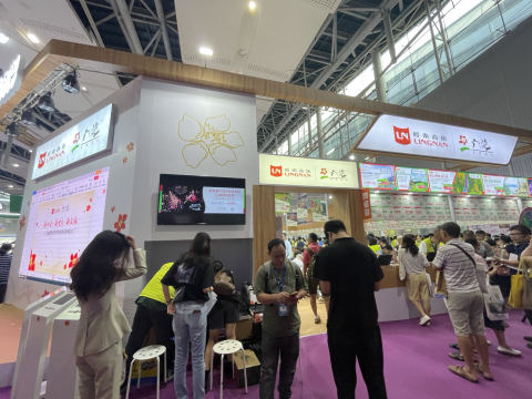 广东旅博会着数多 旅行社全系产品大促