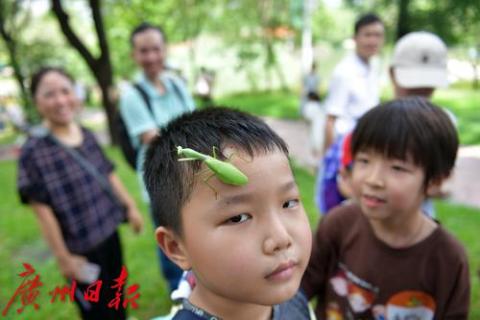 全国科普日，来动物园观鸟观察昆虫