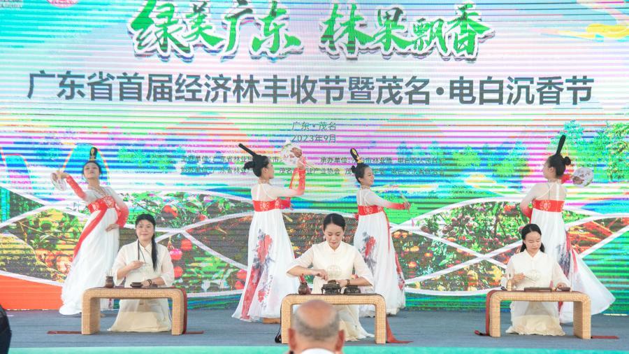 近年来全省规模最大的林下经济盛会，首届广东经济林丰收节启动