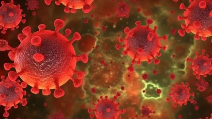 越南发现首例猴痘社区传播病例