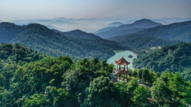 今年春节1.2万人次游客到广州增城秀美白江湖“森呼吸”
