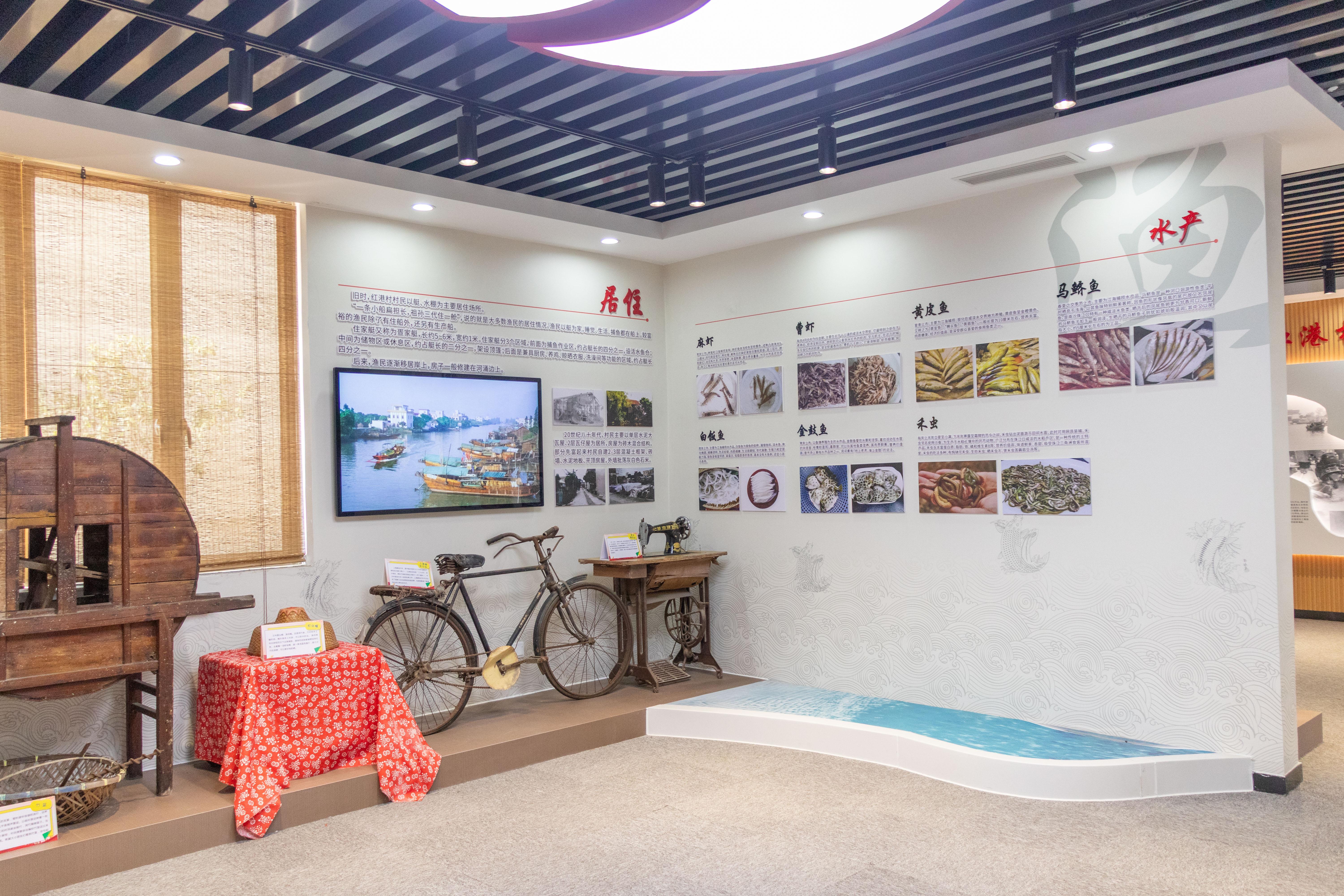 20250228红港村&渔家傲展馆+宣传+红港村+杜建璋-0560.jpg