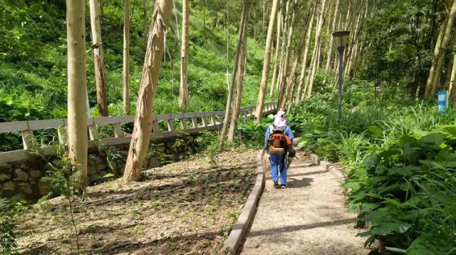 白云|京溪街加强公园垃圾分类，新时尚点缀生态绿