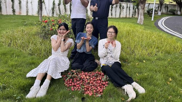 华珠师生共享采摘乐，感受荔枝香甜美味