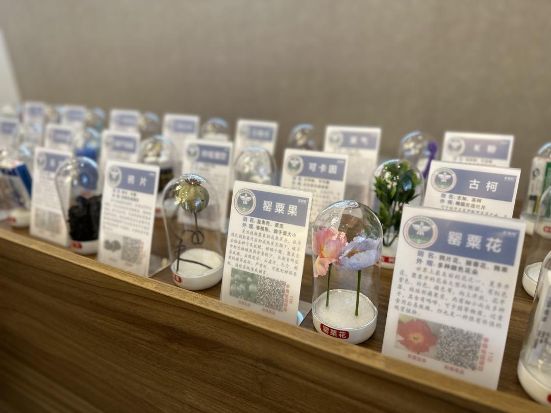 BB023CC6-9081-41E5-A1C1-97B67EF5561D BB023CC6-9081-41E5-A1C1-97B67EF5561D