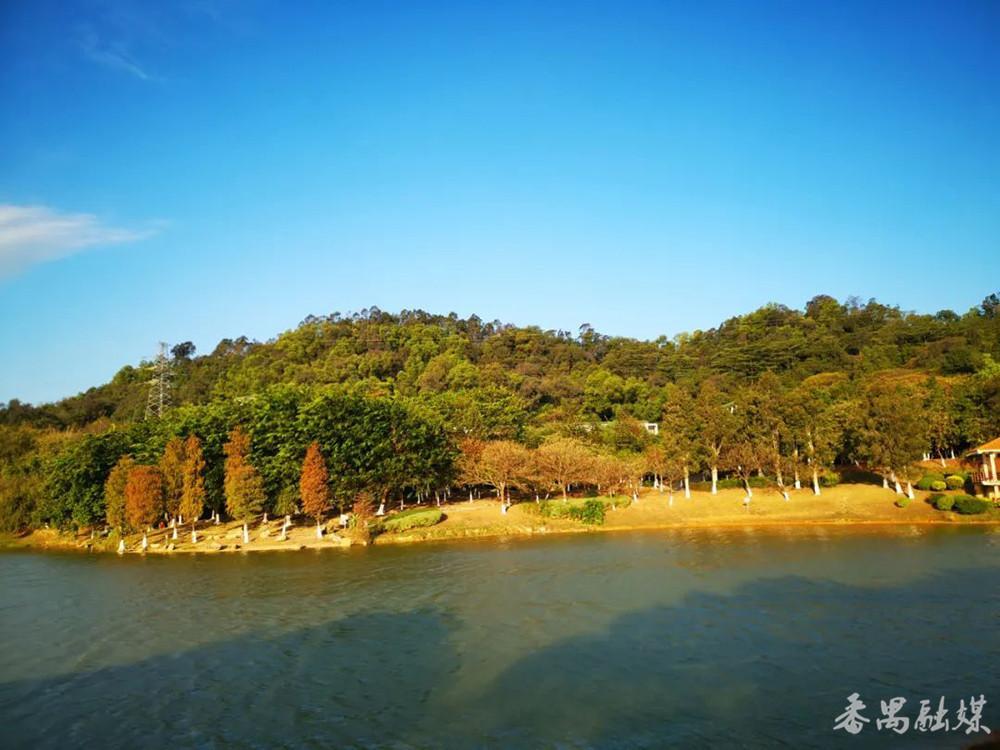 我叫番禺,这是我的最新简历_广州日报大洋网